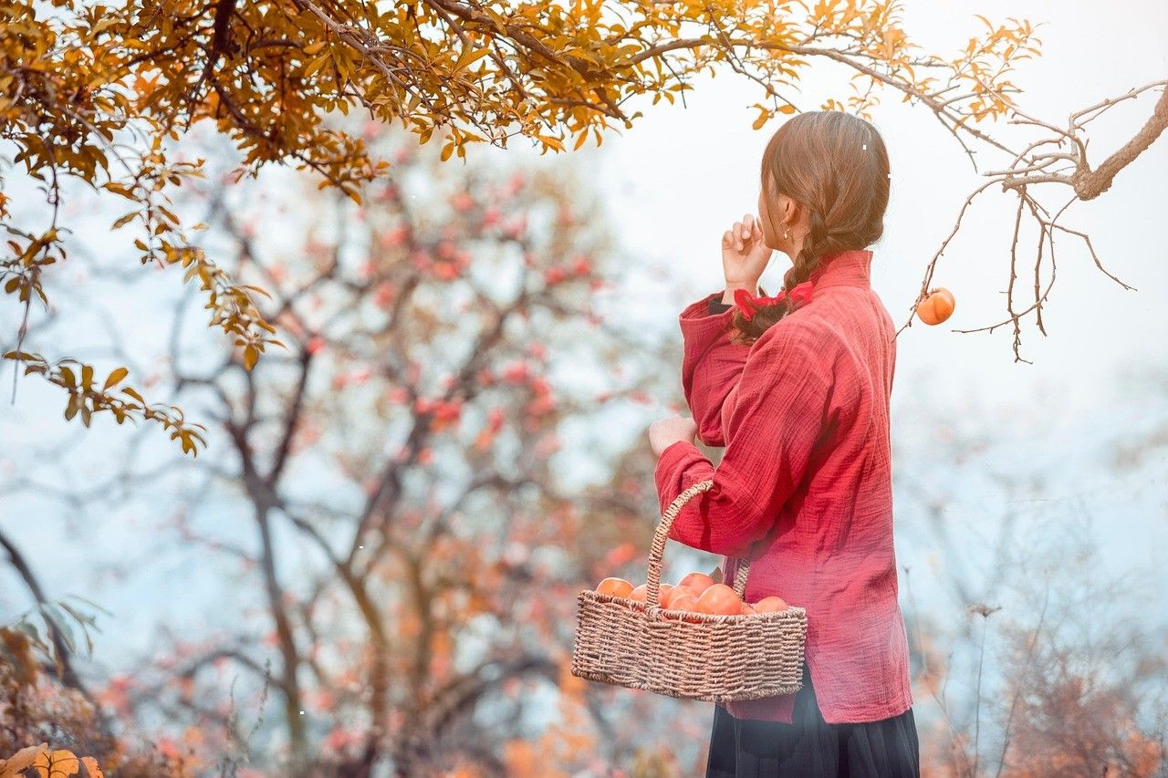 A person in a red jacket, seen from behind, carrying a basket of persimmons in an autumn orchard.