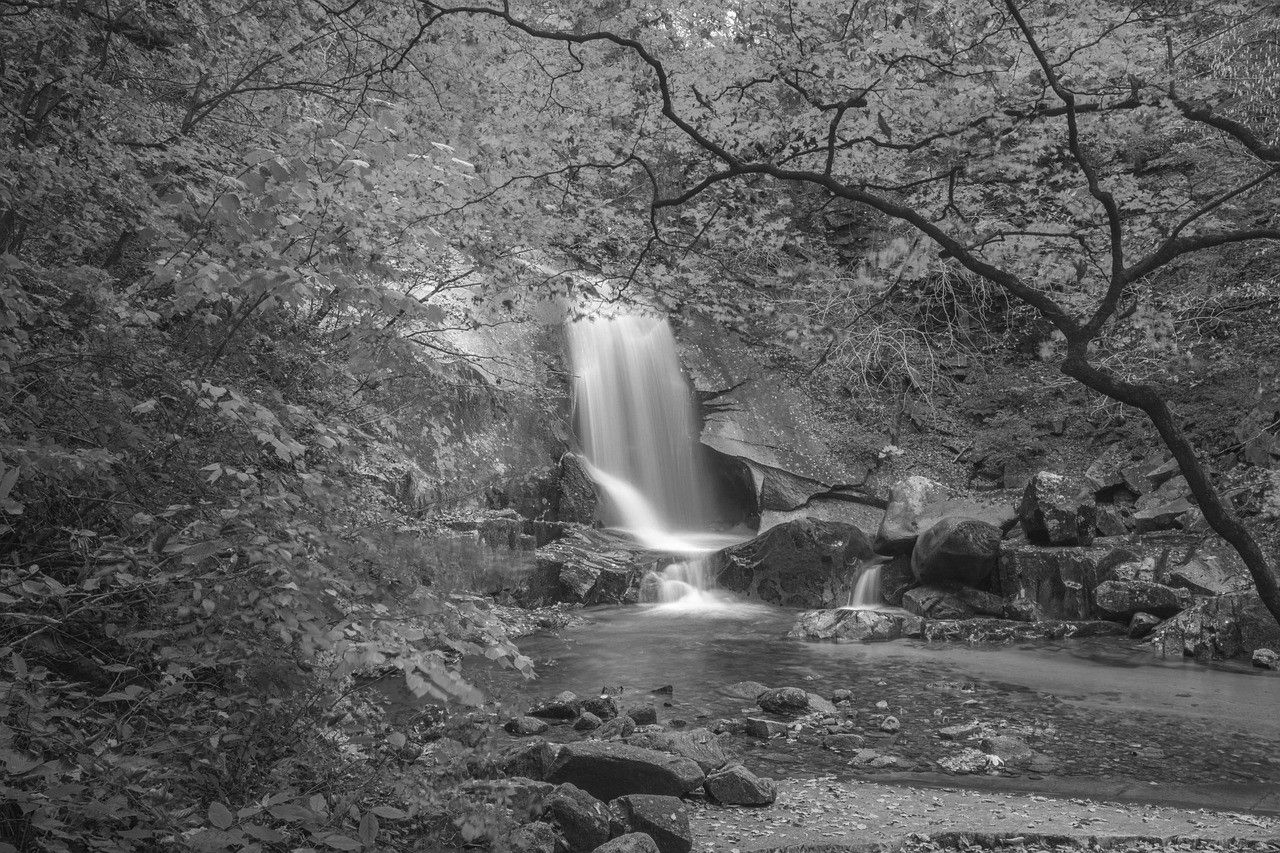 Long-exposure black and white waterfall falling into a rocky pool among trees.